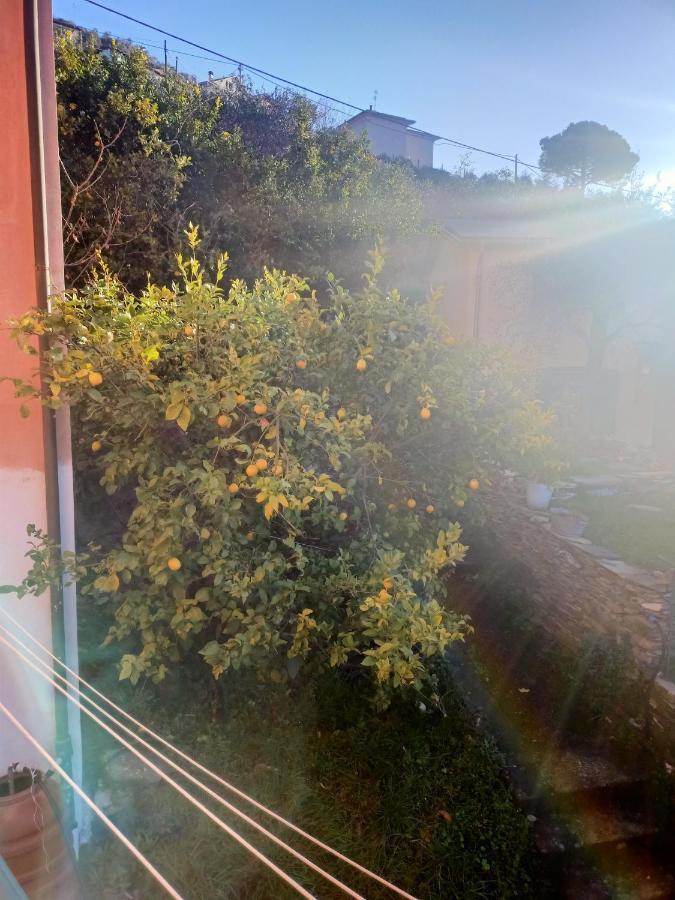 Hotel dalla Franca Chiavari Esterno foto